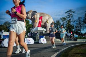 BIB: 
                            <button type="button" onclick="openModal(26541740)" class="btn btn-primary btn-sm float-right btn-popup" data-toggle="modal" data-target=".modal-high-quality">
                        <i class="fas fa-shopping-cart"></i> Add to Cart
                    </button>
                                            <button type="button" onclick="isThisMe(26541740, true)" class="btn btn-success btn-sm float-right btn-popup btn-isme hidden" data-toggle="tooltip" data-placement="bottom" title="นี่คือรูปของคุณใช่ไหม คลิกที่นี่เพื่อเอาเข้าอัลบั้ม">
                        <i class="fas fa-plus"></i> Add to album
                    </button>
                    <button type="button" onclick="isThisMe(26541740, false)" class="btn btn-warning btn-sm float-right btn-popup btn-isnotme hidden">
                        <i class="fas fa-ban"></i> Remove from album
                    </button>